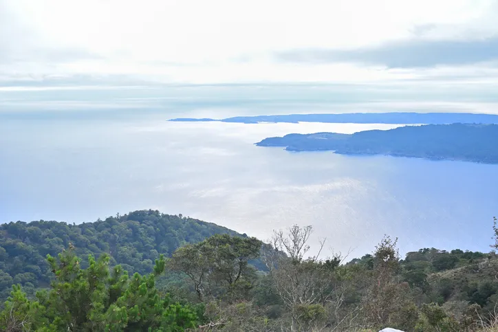 宮城　パパ活　石巻